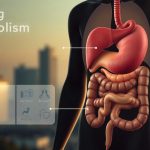 How To Slow Metablosim