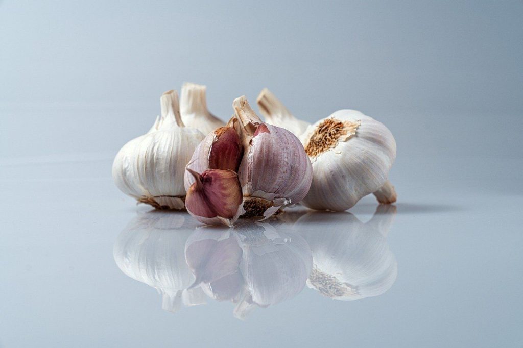 Garlic